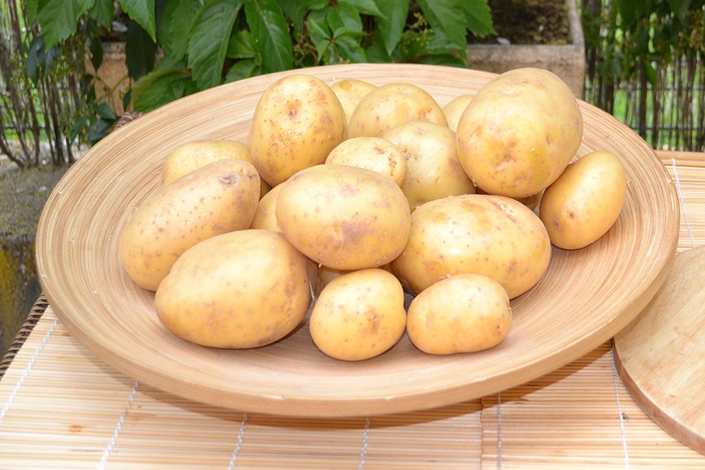 patatas